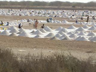 20070906181156-salinas.jpg