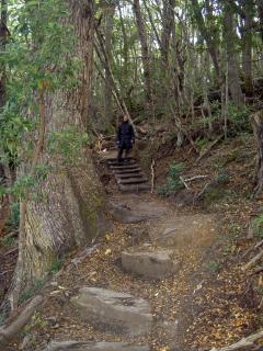 20080508180102-pntdf.jpg