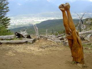 20080801110651-grito.jpg